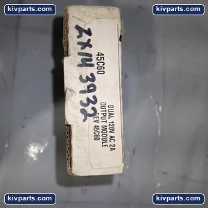 Reliance Electric 45C60 AutoMate Dual Output Module – actual item, photo 2 of 3