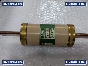 Bussmann 1036 Super-Lag Renewable Fuse – actual item, photo 4 of 5