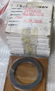 Plant O5348 – actual item, photo 1 of 4