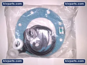 DN 65 Gasket – actual item, photo 2 of 3