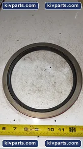 417596 National Oil Seal – actual item, photo 4 of 7