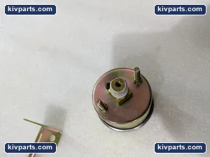 S143-124-001 Winter Pressure Gauge – actual item, photo 3 of 5