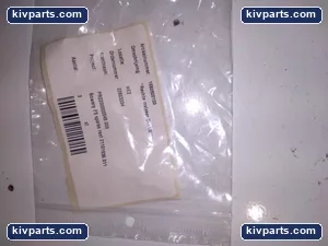 1880500100 Straight Insert BRASS – actual item, photo 2 of 3