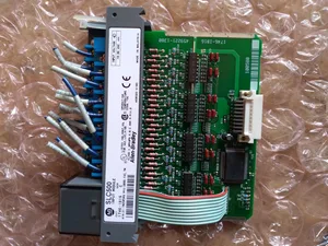 Allen-Bradley 1746-IB16 SLC 500 DC Input Module