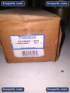 Mersen CP750A3 Fuse – actual item, photo 4 of 5
