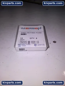 Mersen GGM1 Fuse – actual item, photo 2 of 3