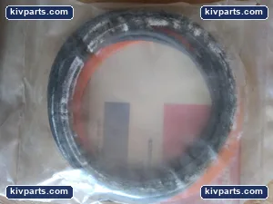 Atlas Cylinders Kit Hydraulic Cylinder Seal – actual item, photo 3 of 4