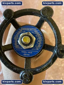 Powell GA08X6L0GB Stainless Steel Gate Valve – actual item, photo 3 of 4