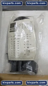 Rittal 6320.300 – actual item, photo 3 of 9