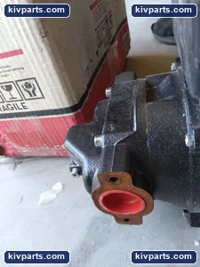 Piusi F0032701B Pump – actual item, photo 8 of 10