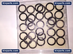 Flowserve F00623589D Graphite Gasket – actual item, photo 3 of 4