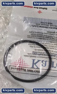 DuPont Kalrez BOP-MAIN-1A007F Seal – actual item, photo 3 of 5