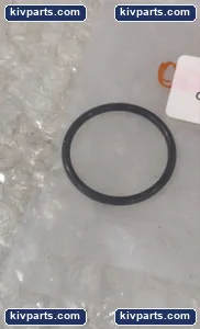 Blac INC Seal – actual item, photo 2 of 4