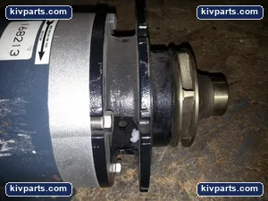 Marathon 904032 DVN Electric Motor – actual item, photo 5 of 6
