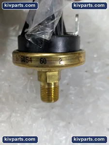 B76054 Switch Brass Body Spade Terminal – actual item, photo 4 of 8