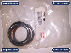 Atlas Cylinders PH00LH025 Seal Kit Buna Pneumatic Cylinder – actual item, photo 2 of 3