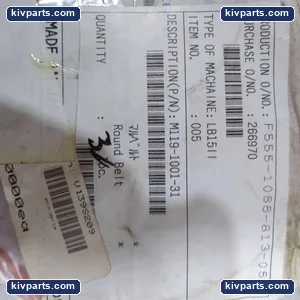 M119-1001-31 Round Drive Belt – actual item, photo 3 of 5