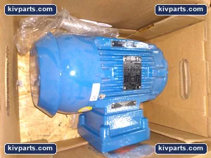 WEG 00118XT3ER143TC NEMA Premium – actual item, photo 3 of 5