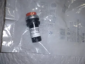 Eaton C22-DRH-R-X0-K01 Extended Maintained Pushbutton