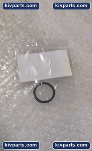Gyeonggi-Do 2-RO Kit O-Ring Black Control Valve – actual item, photo 4 of 4