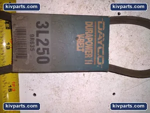 Dayco 3L250 Belt – actual item, photo 2 of 4