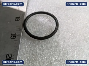 Denison 691-00221 Gasket – actual item, photo 5 of 6