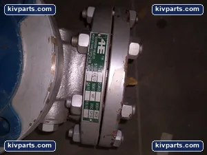 4EVERGREEN Valve – actual item, photo 2 of 5
