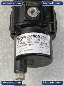 Marsh 960175073 Bellofram Air Pressure Regulator – actual item, photo 3 of 6