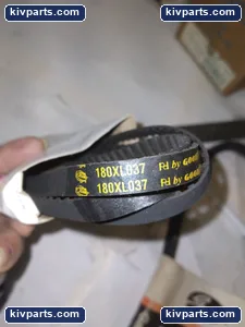 Goodyear Industrial Timing Belt – actual item, photo 2 of 3