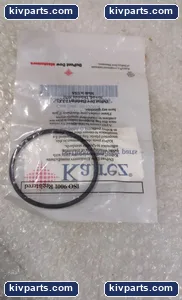 DuPont Kalrez BOP-MAIN-1A007F Seal – actual item, photo 2 of 5