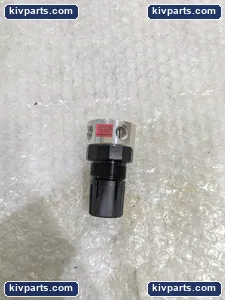 Graco 110147 Pressure Regulator with Gauge – actual item, photo 2 of 7