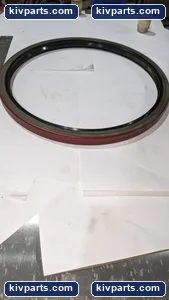415077 National Nitrile Oil Seal – actual item, photo 4 of 8