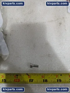 SCX205012-100M1 912 A2 Metric Stainless Socket – actual item, photo 4 of 7