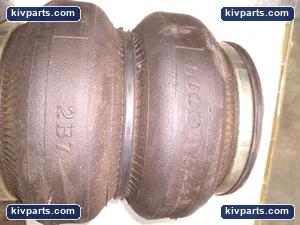 Enidine YI-2B7-540 Air Spring – actual item, photo 2 of 5
