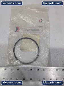 Graco 160-621 Replacement O-Ring – actual item, photo 3 of 4