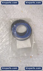 Century DSP-K-246 Cylinder Seal – actual item, photo 2 of 4