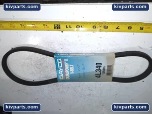 Dayco 4L340 II V-Belt Roof Vent Motor Belt – actual item, photo 2 of 4
