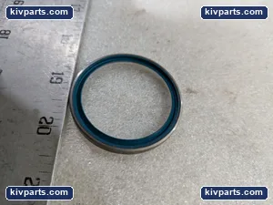 INA 004358.3 Oil Seal – actual item, photo 4 of 9