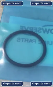 CCN C0P11EW223 95022240 Industrial Seal – actual item, photo 3 of 4