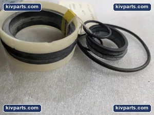 XZ-GUA-010405 Ring Hydraulic Piston Cylinder – actual item, photo 5 of 8