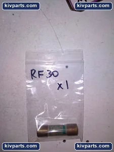 Gould RF 30 Fuse – actual item, photo 3 of 4