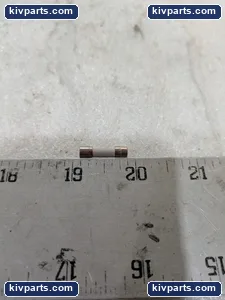 Littelfuse Slow-Blow Fuse – actual item, photo 5 of 6