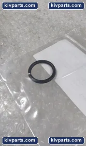 IMI CCI POIS1000048 O-Ring Black Elastomer Valve – actual item, photo 2 of 3