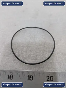 EPR AS568-040 Industrial Rubber Seal Gasket – actual item, photo 3 of 4