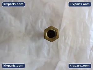 FE Petro 400137937 Replacement Syphon Check Valve – actual item, photo 3 of 5