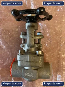 Powell GA08X6L0GB Stainless Steel Gate Valve – actual item, photo 2 of 4