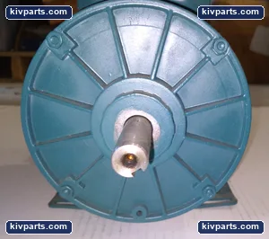 Reliance Electric P56H1437S-X0 Duty Master Motor – actual item, photo 5 of 6