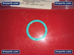 390036-10 Impeller Lock Washer Gasket – actual item, photo 6 of 7