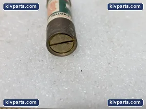 Reliance Electric 2/ORD Renewable Fuse – actual item, photo 3 of 4