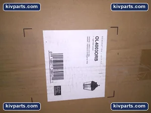 Generation Lighting OL4003ORB Lighting – actual item, photo 2 of 3